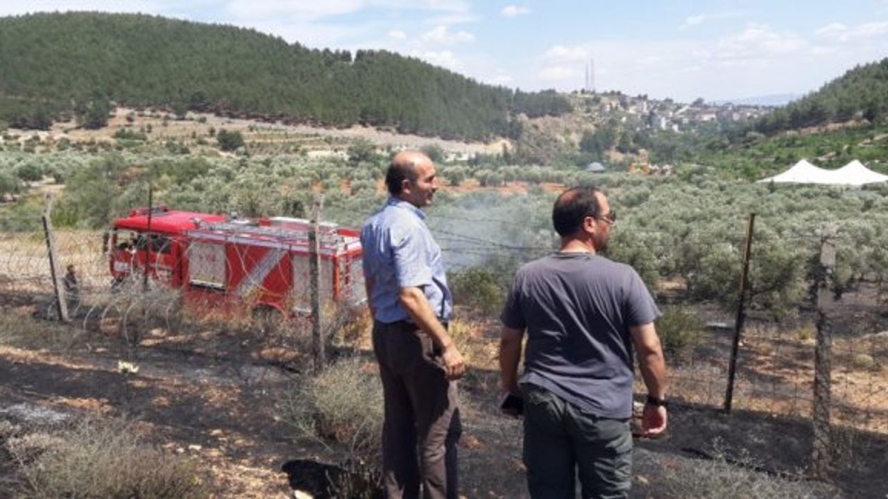 Büyükşehir İtfaiyesi, Yangını Ormana Sıçratmamak İçin Seferber Oldu
