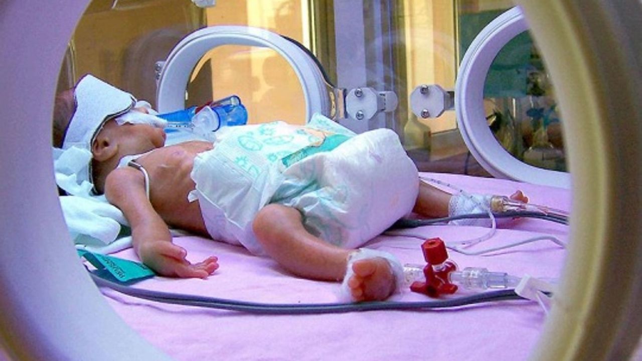 Türkiye'de her 10 bebekten biri hayata erken başlıyor
