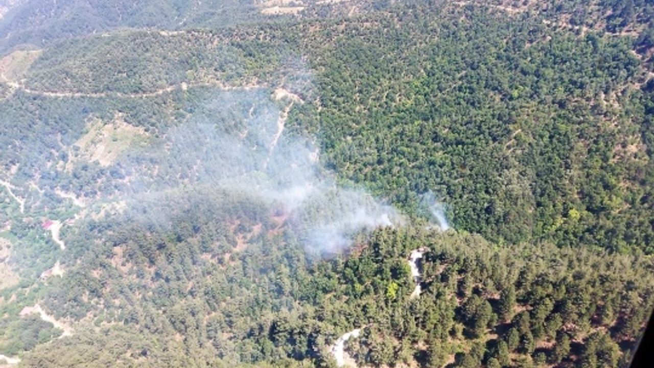 2 hektarlık orman yangında zarar gördü