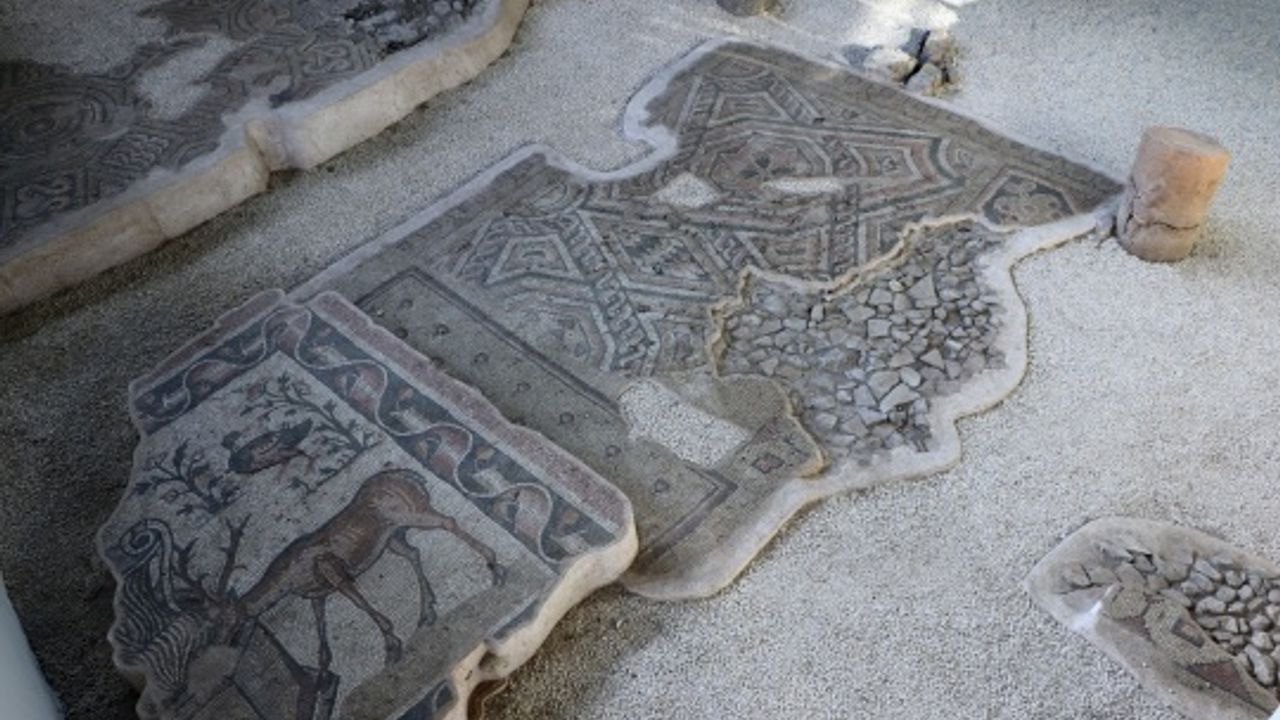 Germanicia Antik Kenti'nde sergilenen mozaik alanları artıyor