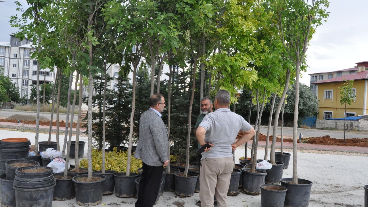 Mehmet ve Burhanettin Ertekin Parkında Peyzaj Çalışması Sürüyor