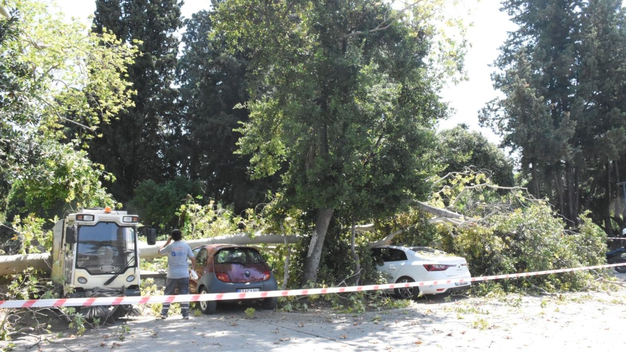 Ağacın kırılan dallarının düştüğü 5 araç zarar gördü