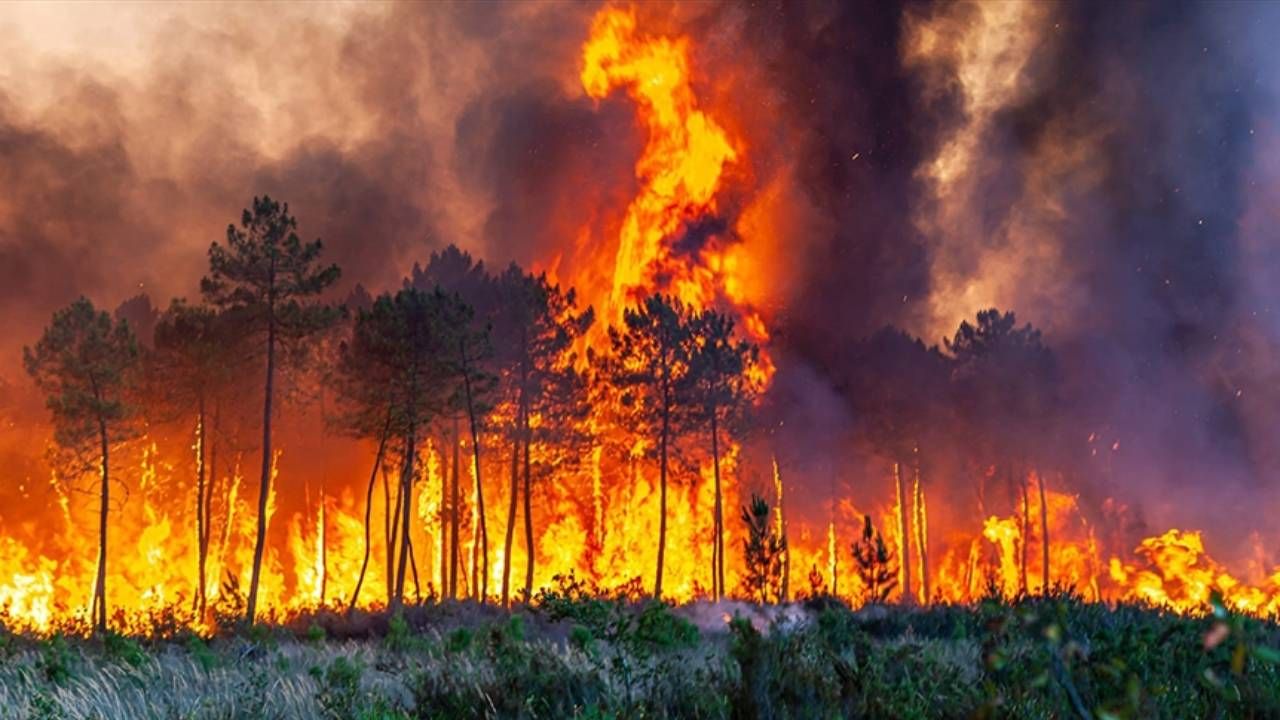 Ağustos'un İlk 9 Gününde 148 Orman Yangını Çıktı