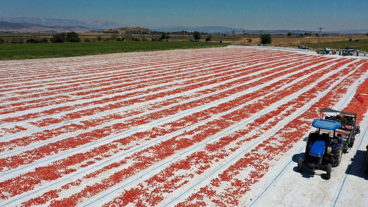 Kahramanmaraş'tan kurutulmuş domates ihracatı