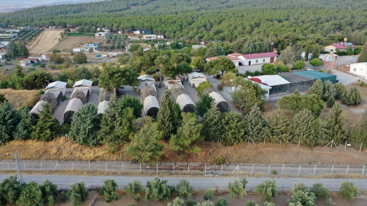 Kahramanmaraş'ta depremden zarar gören keklik üretim istasyonu tekrar faaliyette