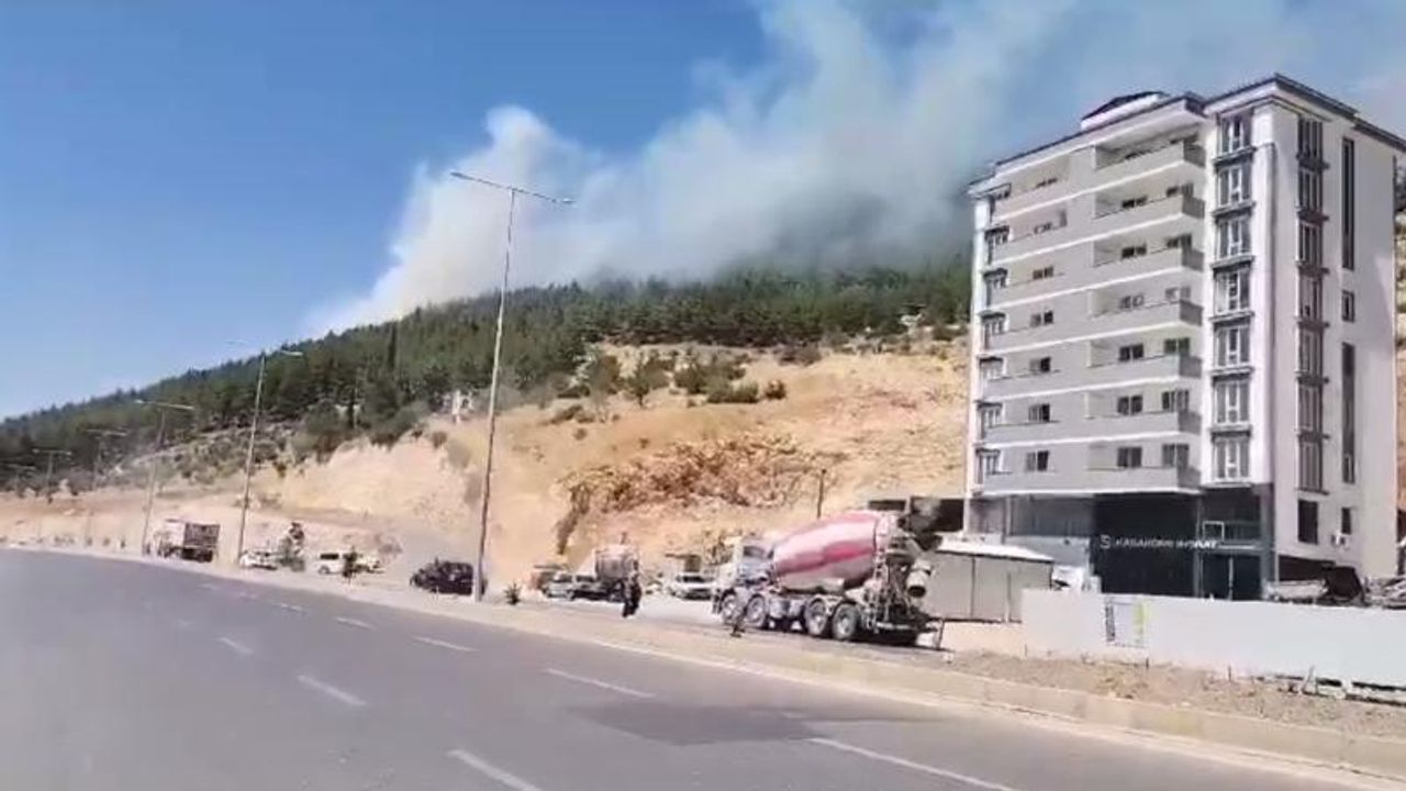 Kahramanmaraş'ta Orman Yangını