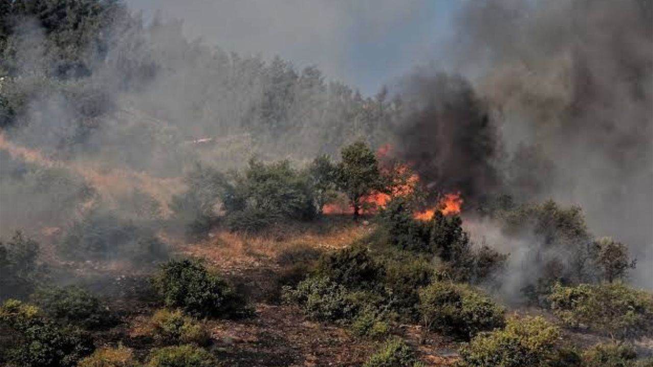Kahramanmaraş’ta 20 hektarlık orman zarar gördü