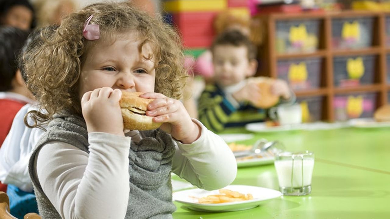 Çocuğunuzun Beslenme Çantası Obezite Riskini Arttırabilir