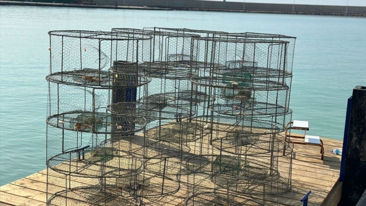 Hatay'da geçen yıl yasa dışı balık avlamada kullanılan 140 kafes ele geçirildi