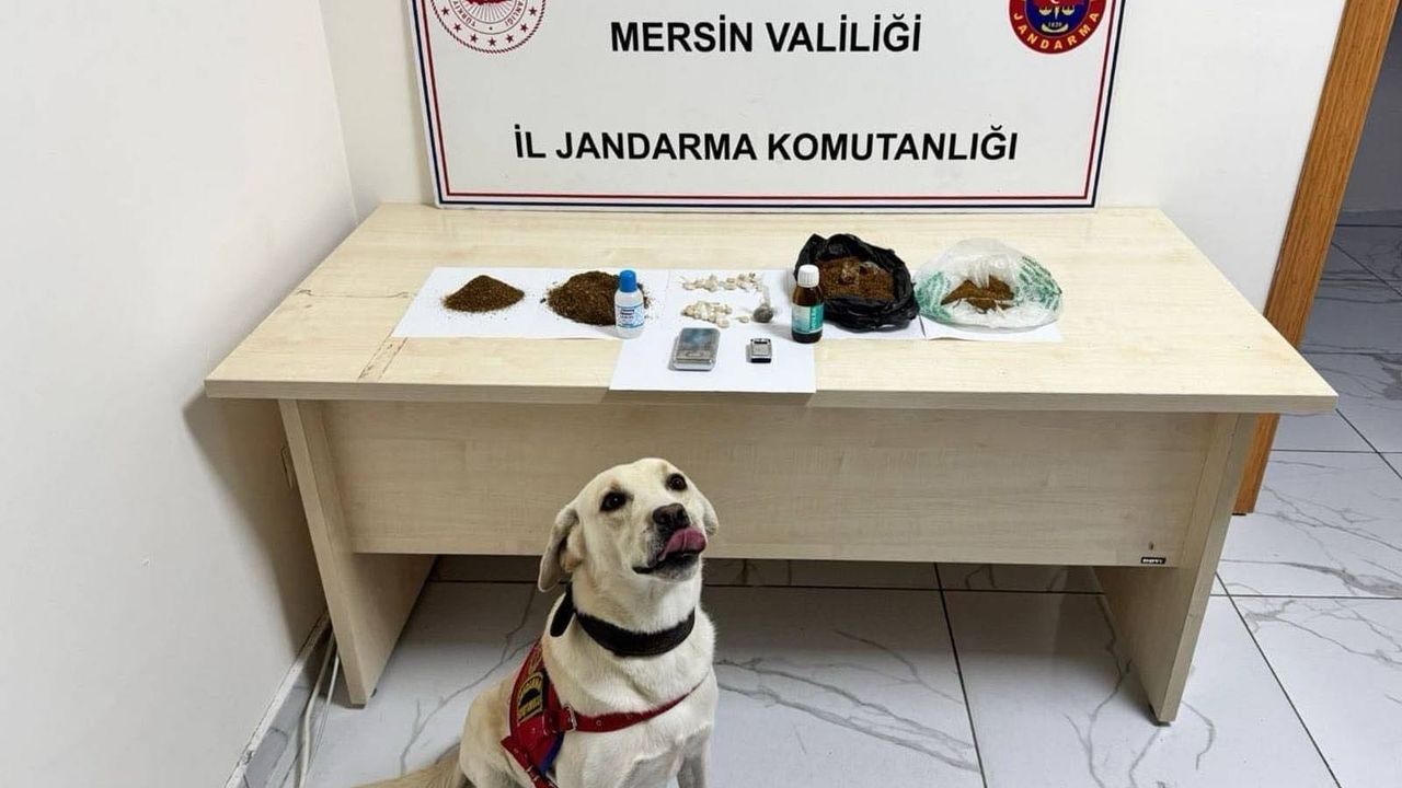 Mersin'de uyuşturucu operasyonunda yakalanan 5 zanlı tutuklandı