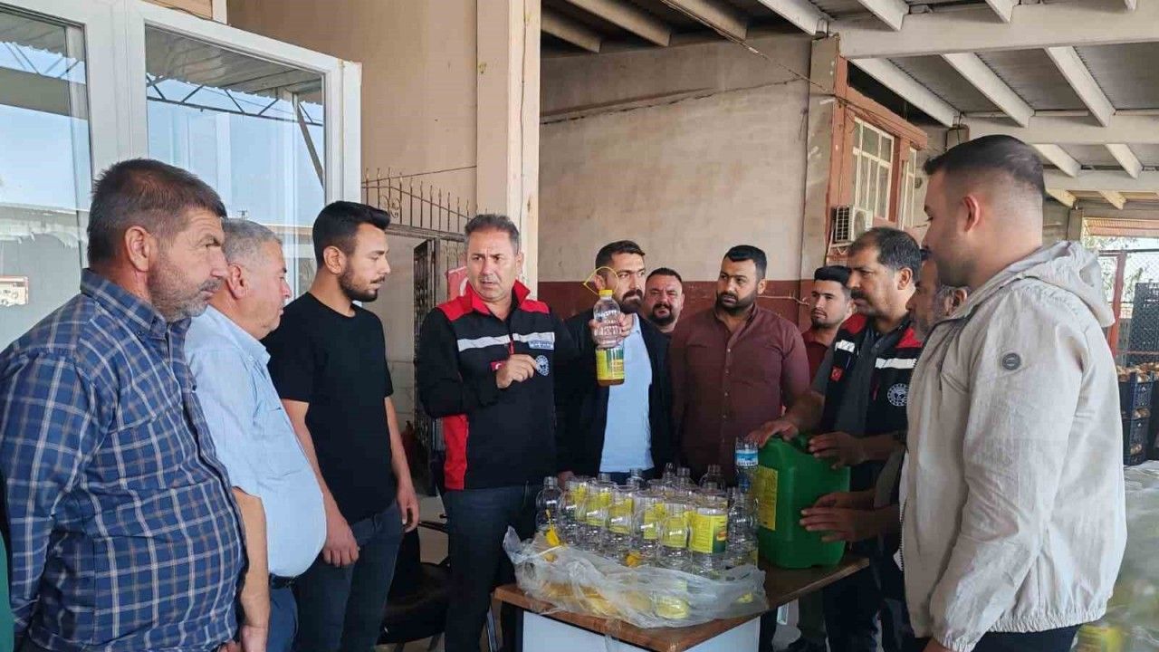 Akdeniz meyve sineği ile mücadele sürüyor