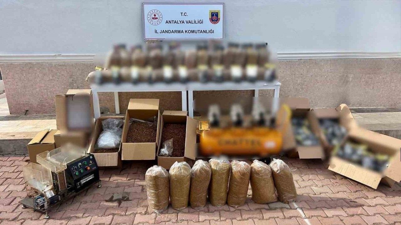 Jandarmanın 2 ayrı adrese düzenlediği operasyonda 350 kilo kıyılmış tütün ele geçirildi