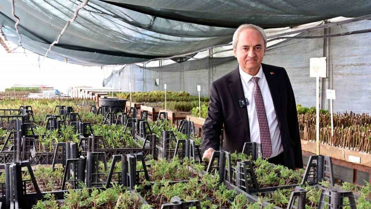 Kepez’den kurakçıl peyzaj hamlesi