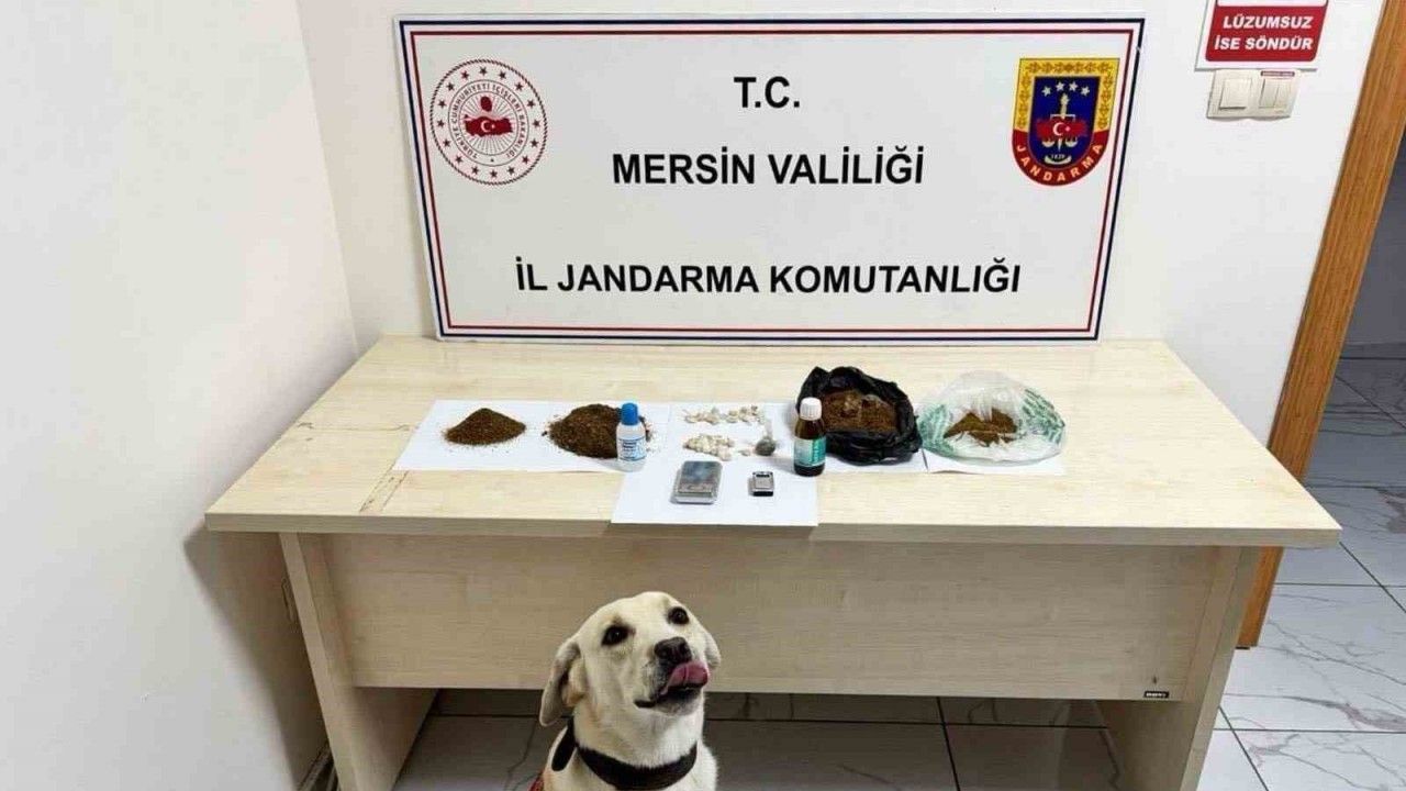 Mersin’de uyuşturucu operasyonu: 5 şüpheli tutuklandı