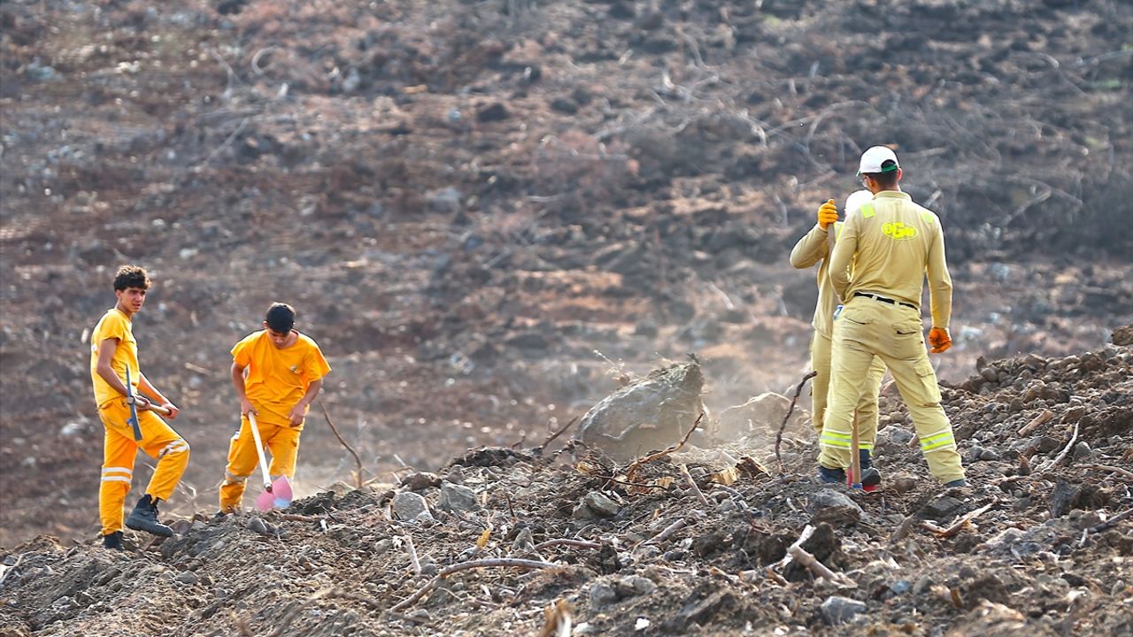 Hatay ve Kilis'te bir günde 44 bin 50 fidan toprakla buluşturulacak