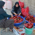 Afşin’de Kış Hazırlıkları Başladı! Salçalık Biber ve Domates Tezgâhları Şenlendirdi