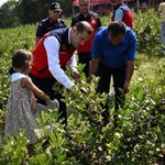 Andırın’da Mor Bereket! Aronya Hasadı Üreticinin Yüzünü Güldürdü