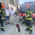 Sanayi Sitesinde Yılan Paniği! Zehirli Engerek İtfaiyeyi Harekete Geçirdi