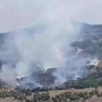 Bursa'da çıkan orman yangınına müdahale ediliyor