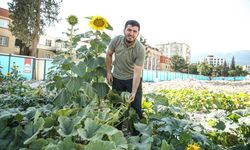 Konteyner Çarşı, Kuruyemişçinin Enkazındaki Ürünlerle Yeşerdi