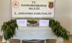 Afşin’de 7 kök kenevir ile 202 gram esrar ele geçirildi