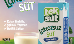 Üreterek Büyüyor, Gelişiyoruz