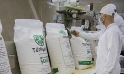 Türkşeker Fabrikalarına 613 İşçi Alınacak