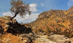 Süleymanlı köyündeki antik yol