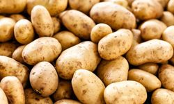 Ağustos'ta Fiyatı En Fazla Düşen Ürün "Patates" Oldu
