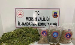 Mersin'de uyuşturucu operasyonunda yakalanan 3 zanlıdan 1'i tutuklandı