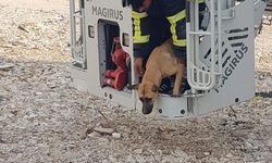 Ağır hasarlı binada mahsur kalan köpeği itfaiyeciler kurtardı