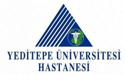Yeditepe Üniversitesi öğretim üyesine TÜBAP'tan GEBİP ödülü