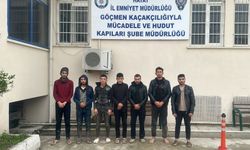 Hatay'da 12 düzensiz göçmen yakalandı