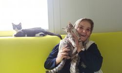 Şaziye teyze konteyner evinde kedileriyle hayatını sürdürüyor