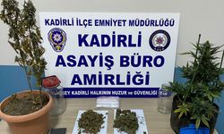 Asayiş uygulamalarında yakalanan 10 zanlı tutuklandı