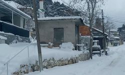 Toroslar’a yağan kar sevinci