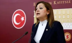 Milletvekili Burcu Köksal kimdir, nerelidir, kaç yaşında?