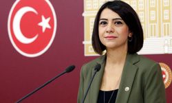 Milletvekili Gamze Taşcıer kimdir, nerelidir, kaç yaşında?