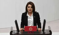Milletvekili Gülcan Kış Kimdir?