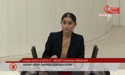 Milletvekili Ceylan Akça Cupolo kimdir, nerelidir, kaç yaşında?