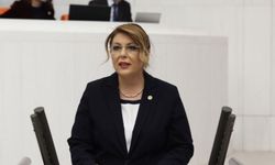 Milletvekili Elvan Işık Gezmiş Kimdir ?