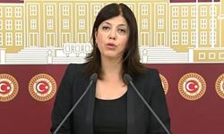 Milletvekili Meral Danış Beştaş kimdir, nerelidir, kaç yaşında?