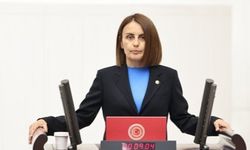Milletvekili Havva Sibel Söylemez Kimdir?