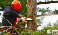 Samsun'da "Sıfır Atık" uygulamasıyla 90 bin 225 ağaç kesilmekten kurtarıldı