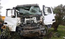 Hafriyat kamyonları kafa kafaya çarpıştı: 3 yaralı