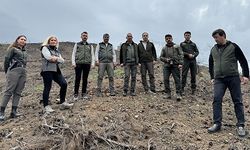 Antalya'nın Kemer ilçesinde yanan ormanlık alanın yeniden yeşermesi için çalışmalar sürüyor