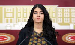 Milletvekili Beritan Güneş Altın Kimdir?