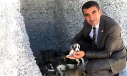 Serkan Güzel Kimdir?