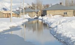 Hakkari'de yağışlar nedeniyle bazı evleri su bastı