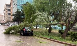 Ankara'yı sağanak ve fırtına vurdu: Çatılar uçtu, ağaçlar devrildi